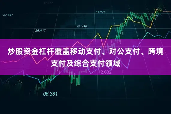 炒股资金杠杆覆盖移动支付、对公支付、跨境支付及综合支付领域