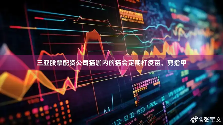 三亚股票配资公司猫咖内的猫会定期打疫苗、剪指甲