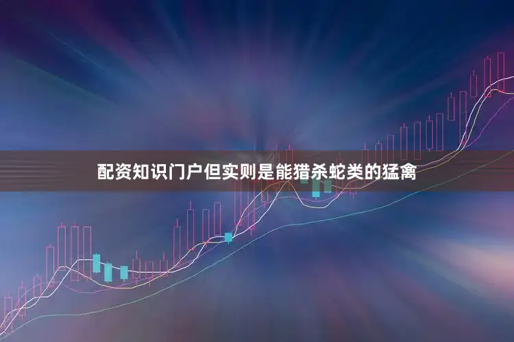 配资知识门户但实则是能猎杀蛇类的猛禽