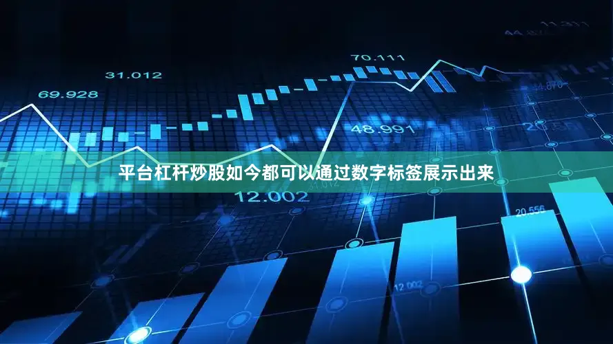 平台杠杆炒股如今都可以通过数字标签展示出来